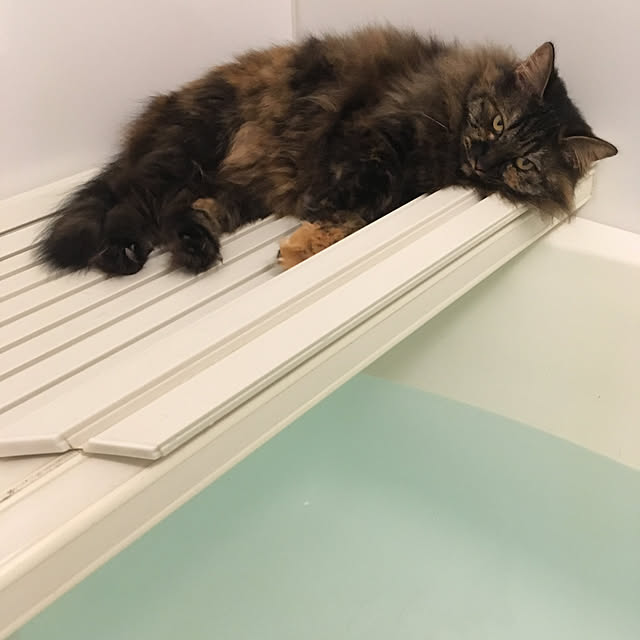 mikomaruさんの実例写真