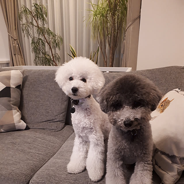 matthewさんの実例写真