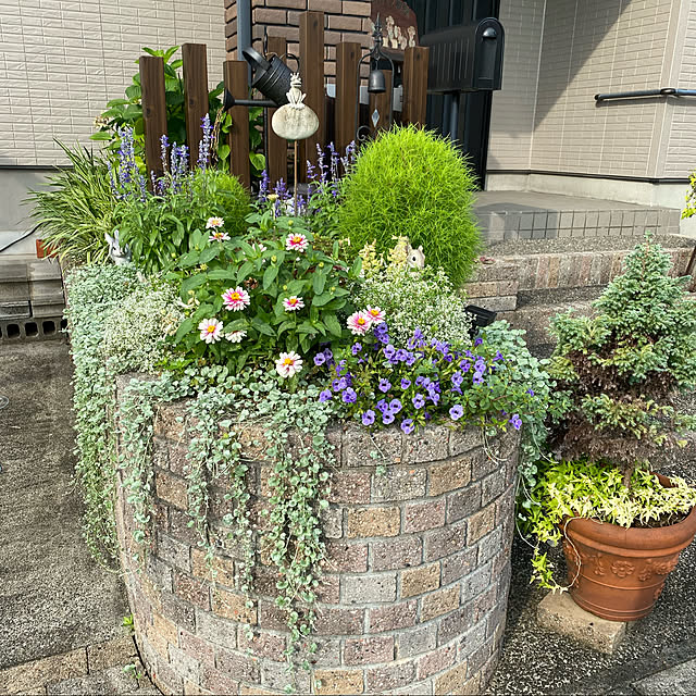 yumirilさんの実例写真