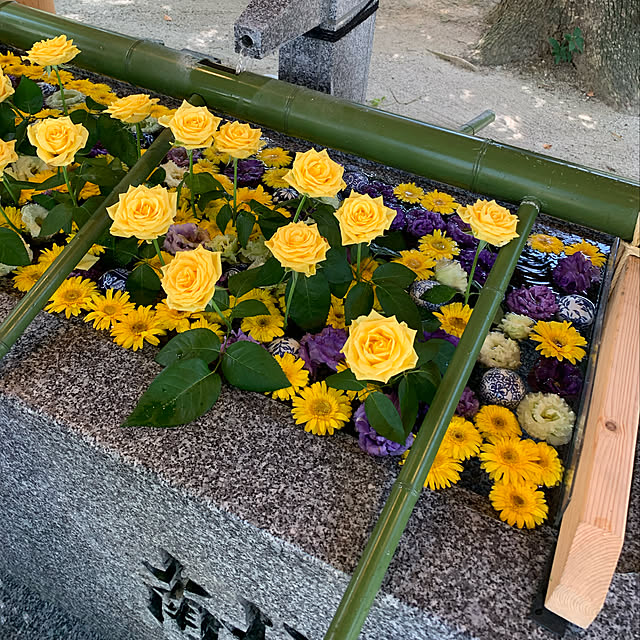 aureaさんの実例写真