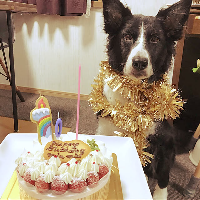 Caoluさんの実例写真