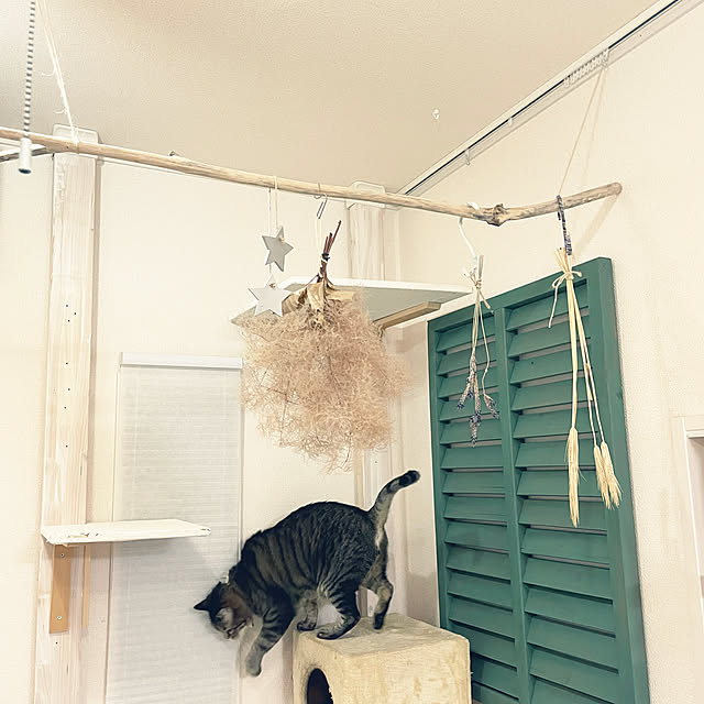 t-famさんの部屋
