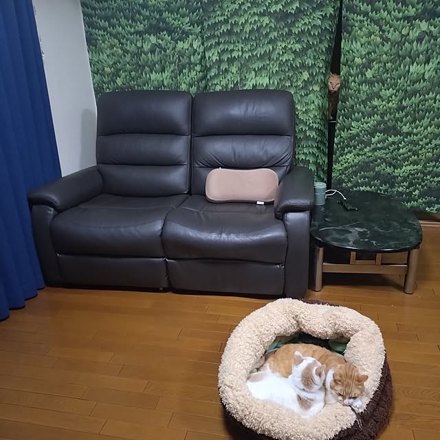 NOAHさんの部屋