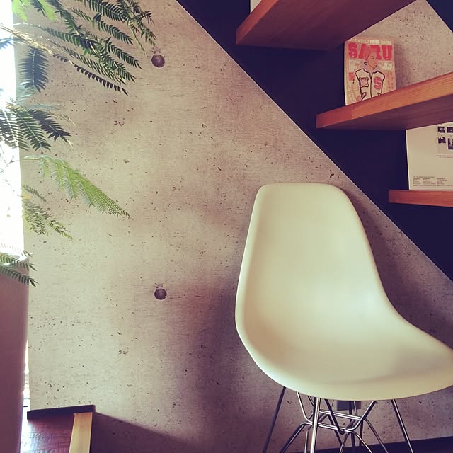BIRDさんの実例写真