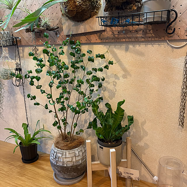 CoffeeHouseさんの部屋
