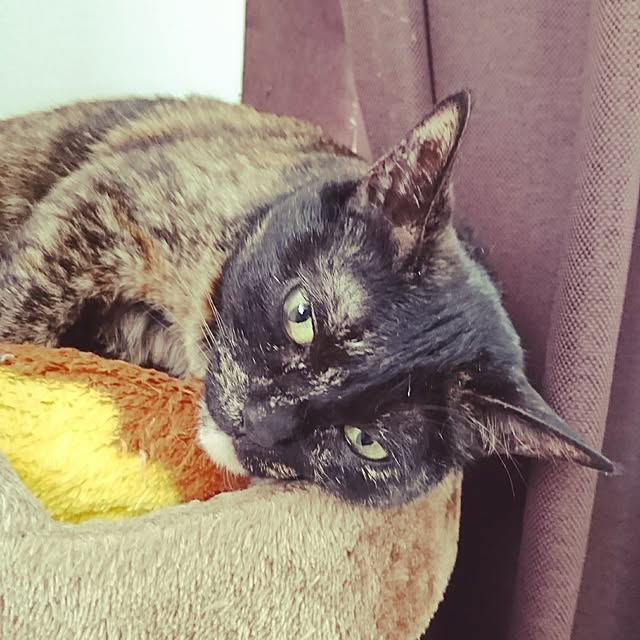 hinaさんの実例写真
