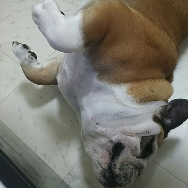 AandPさんの実例写真