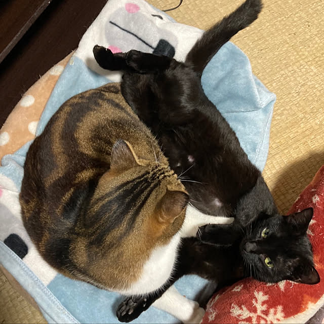 himawari123さんの実例写真