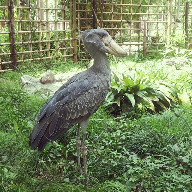 YUKOさんの実例写真