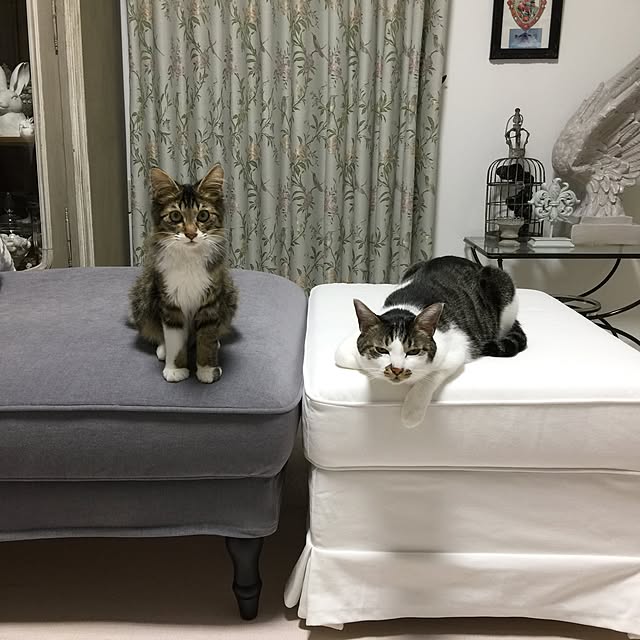 yuchiさんの実例写真