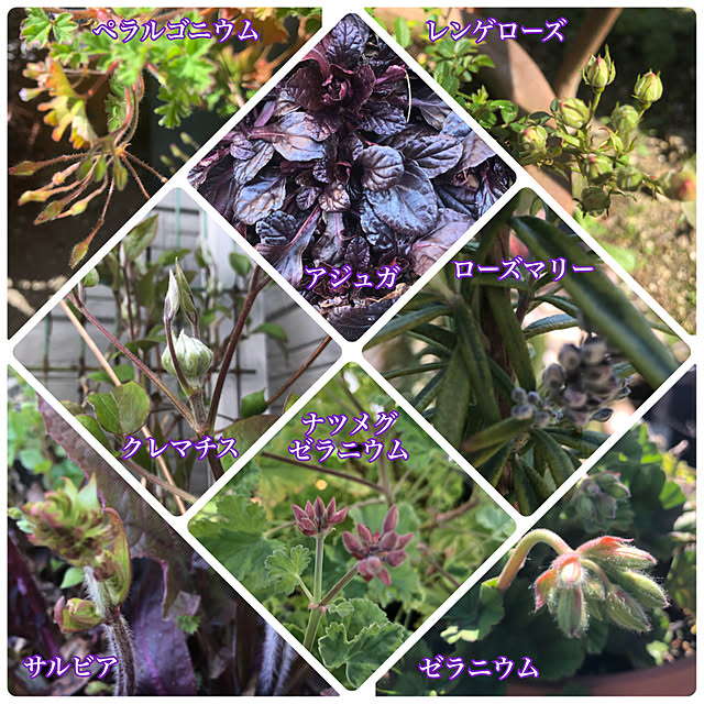 bibianさんの実例写真