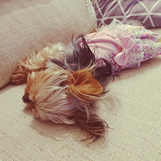 akiさんの実例写真