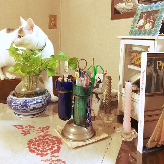 Masamiさんの実例写真