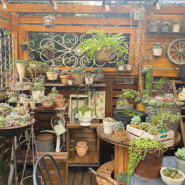 mintteaさんの実例写真