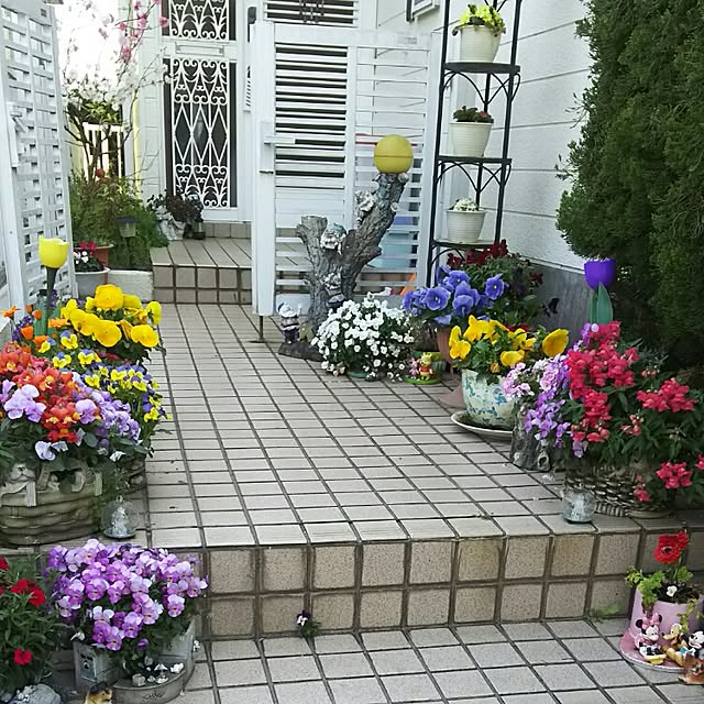 hakusaiatamaさんの実例写真