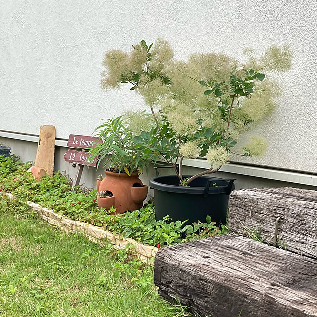 mami3さんの実例写真