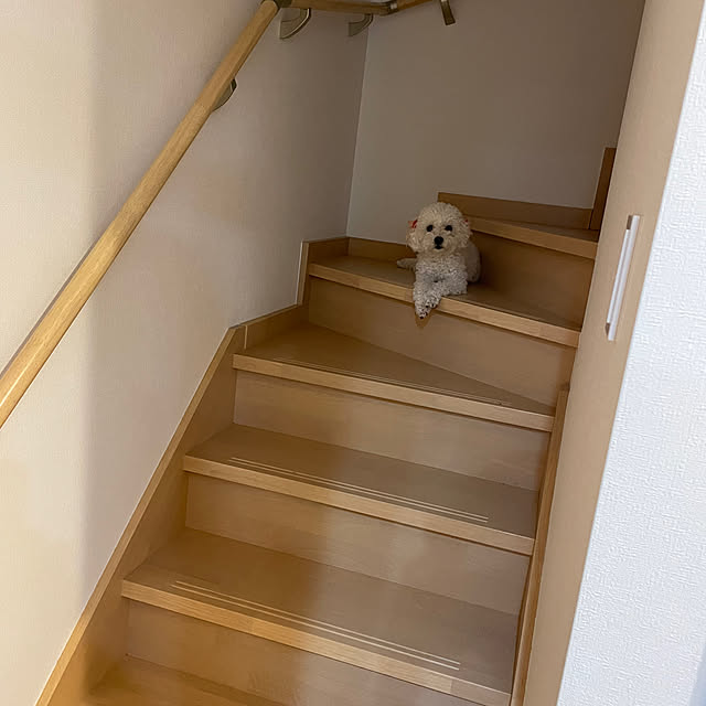 部屋全体のインテリア実例 - 2023-06-28 18:39:51
