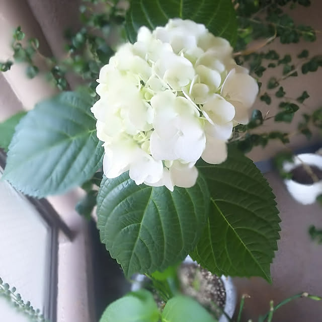 n0516さんの実例写真