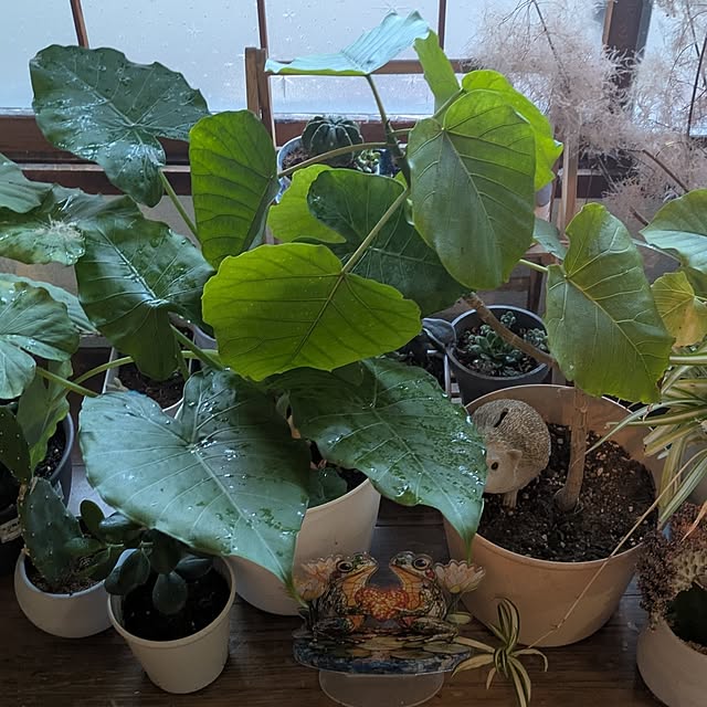 monnさんの実例写真