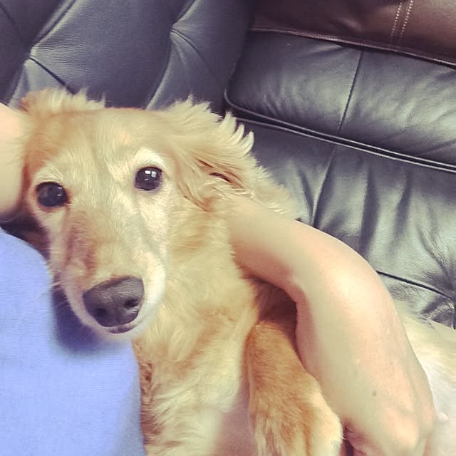 nodokaさんの実例写真