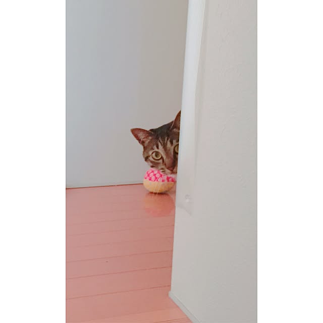 nyan.73さんの実例写真
