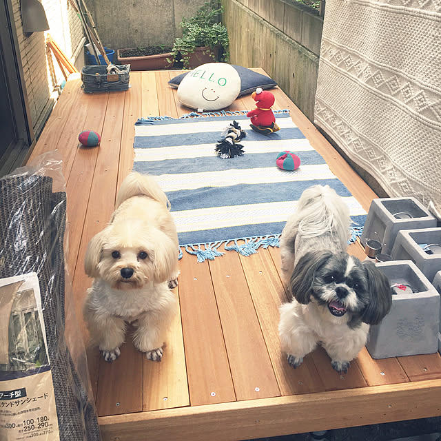 tenmaruさんの実例写真