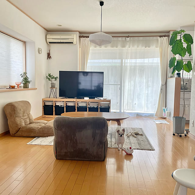 haritakaさんの実例写真