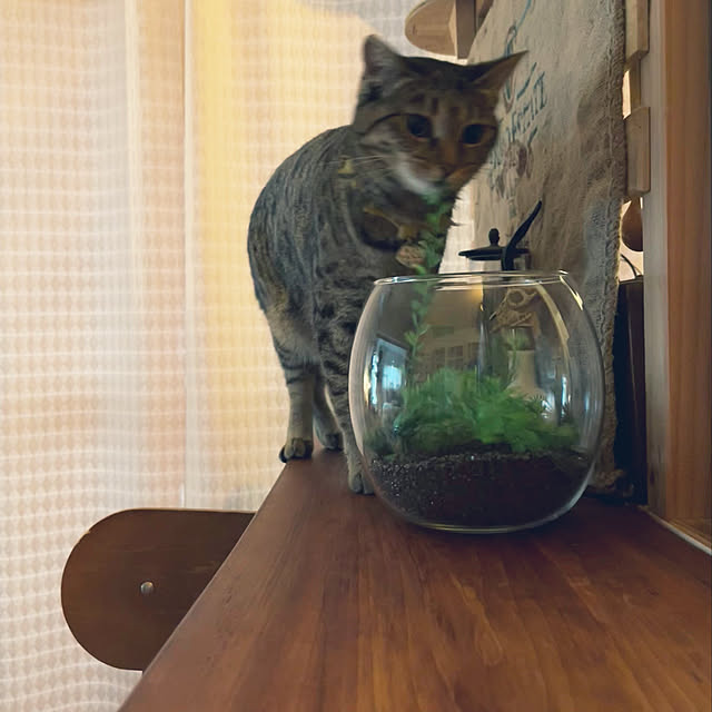 Mさんの実例写真