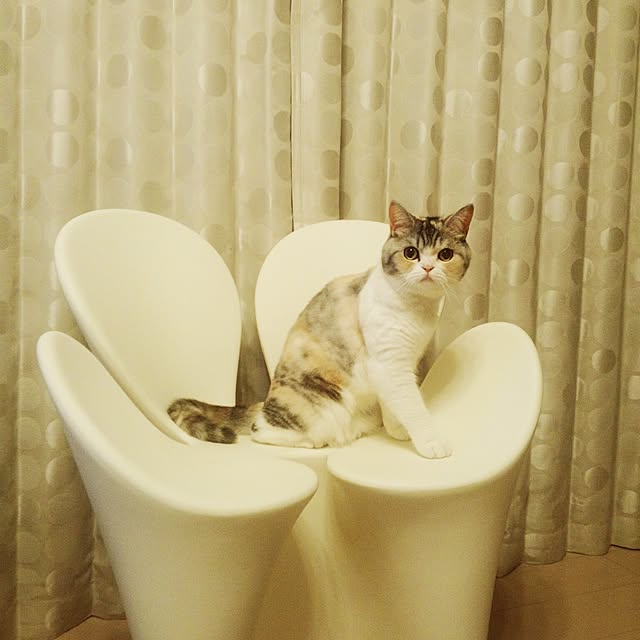 yukiさんの実例写真