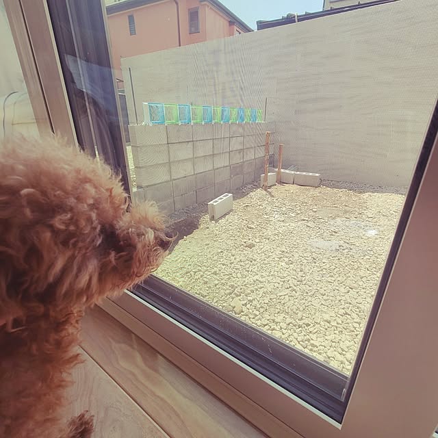 yumi.grandsaisonさんの部屋