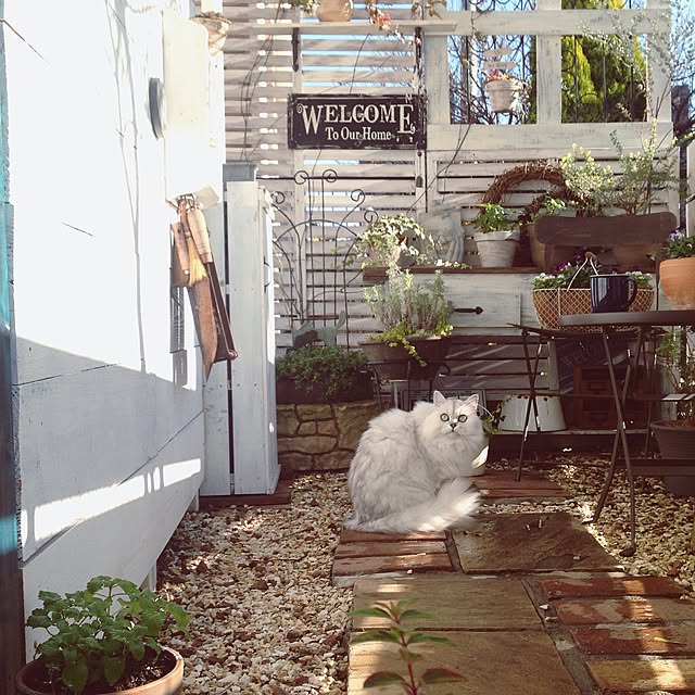 sakuさんの実例写真