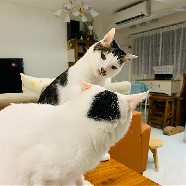 pcu110さんの実例写真