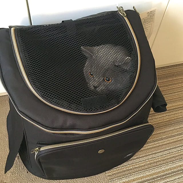 kittyさんの実例写真
