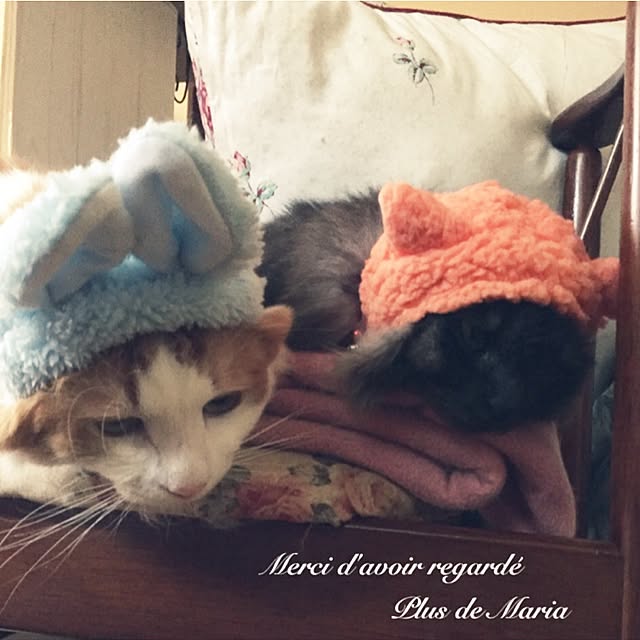 maria.rさんの実例写真