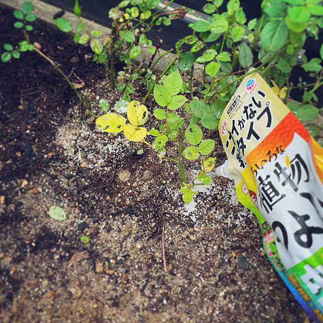oa.mさんの部屋