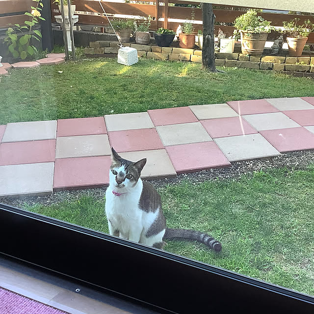 haruminさんの実例写真