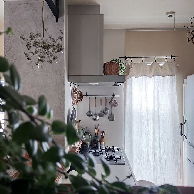 petitesplumesさんの部屋