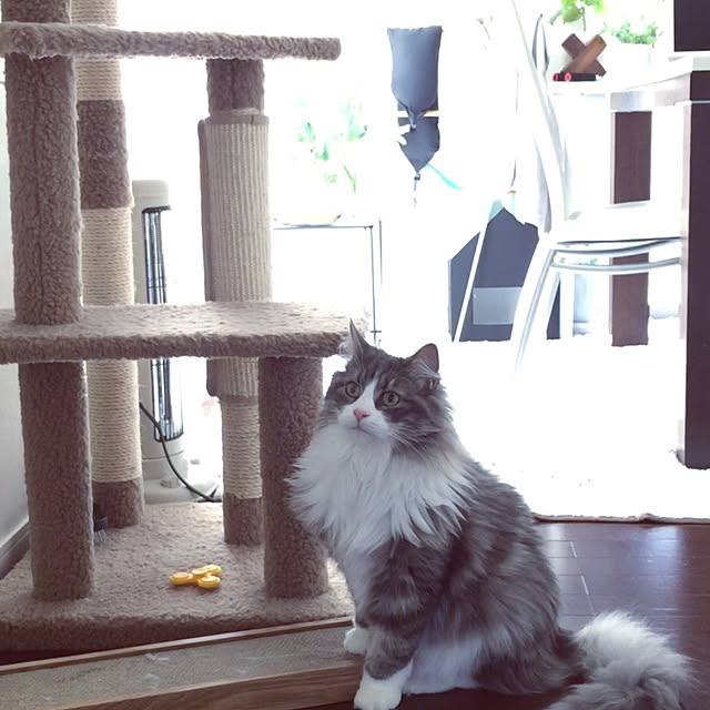 emさんの実例写真