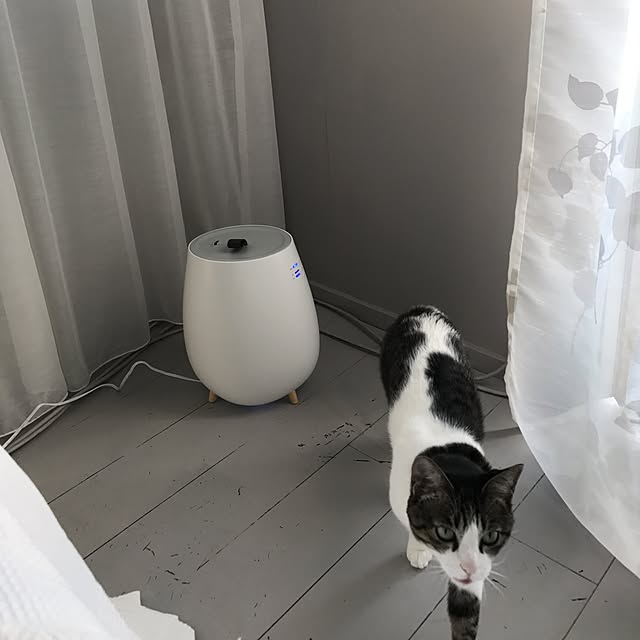 Shihoさんの実例写真