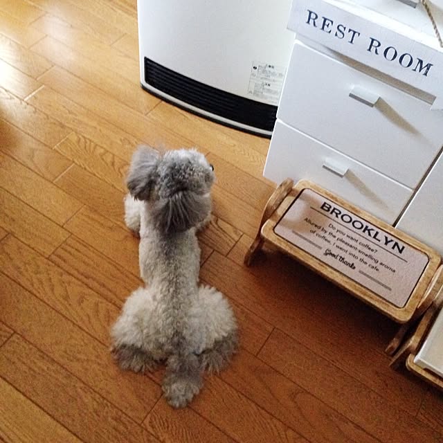 s.s.l_mikiさんの実例写真