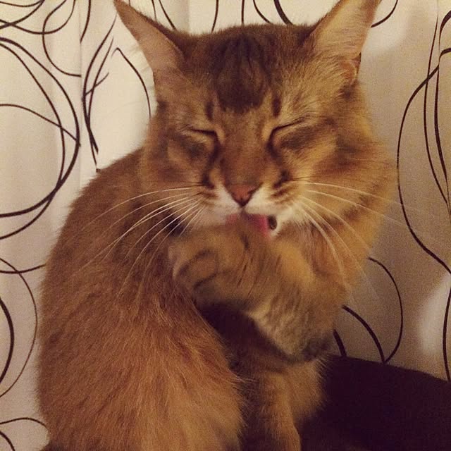 Yumiさんの実例写真
