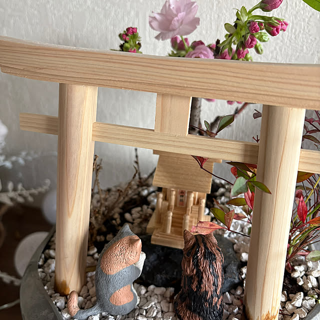 thirorunさんの実例写真