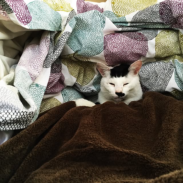 PEさんの実例写真