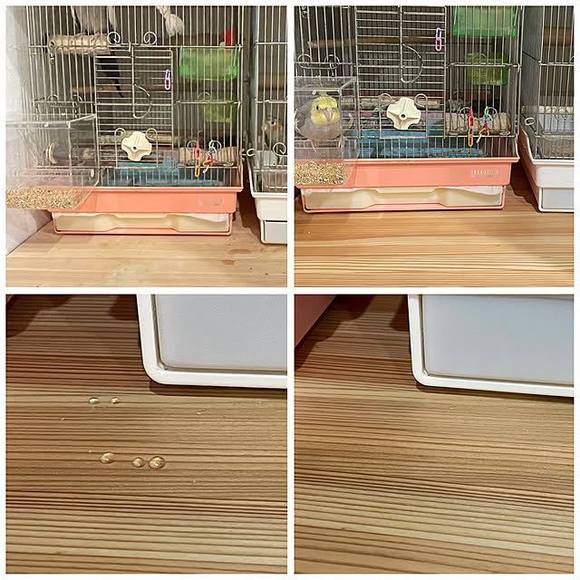 emiuraranさんの実例写真
