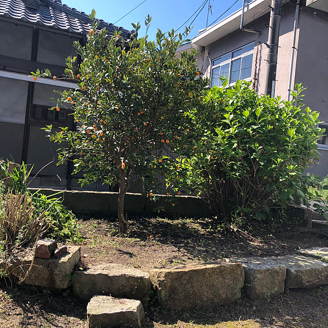 conatuさんの部屋