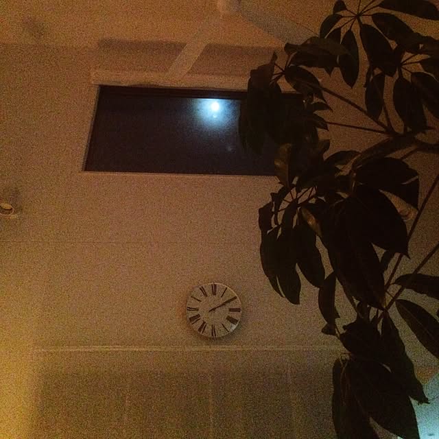 Tinoさんの実例写真