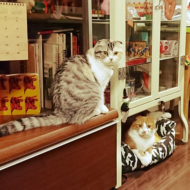 Sachiさんの実例写真