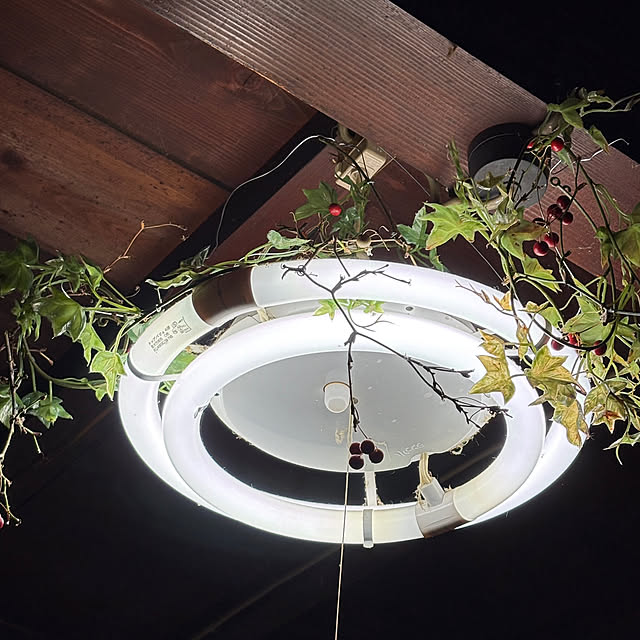 pandasさんの部屋