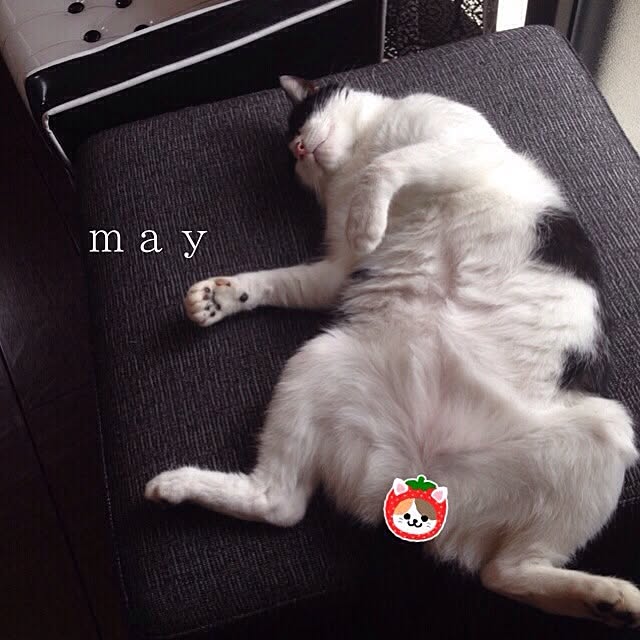 framさんの実例写真
