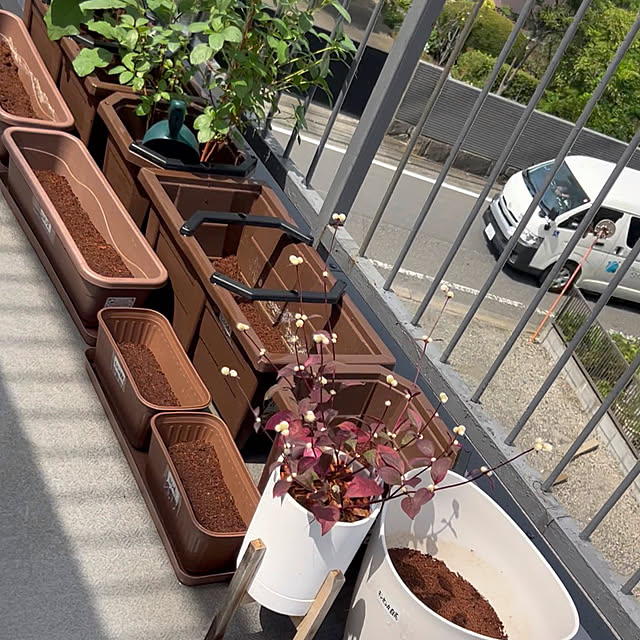 nee_roomさんの部屋